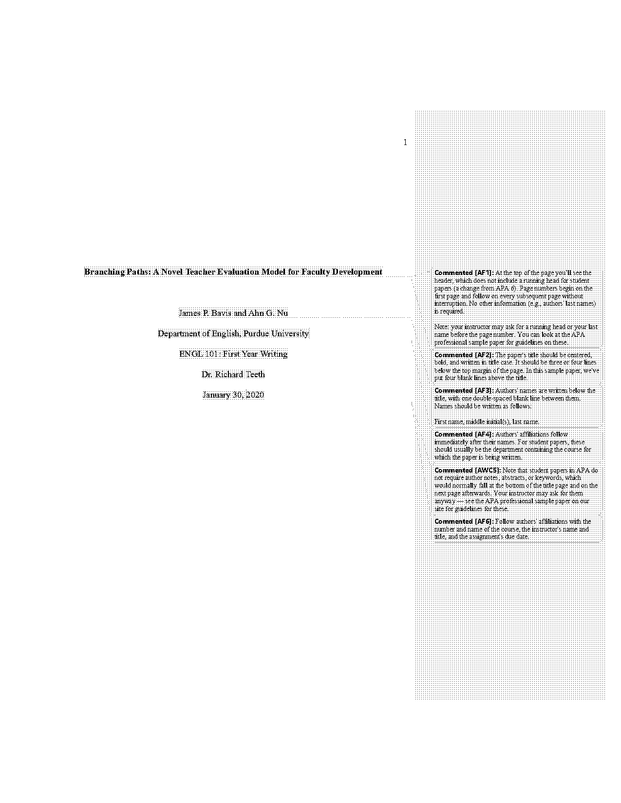 student assessment report sample format