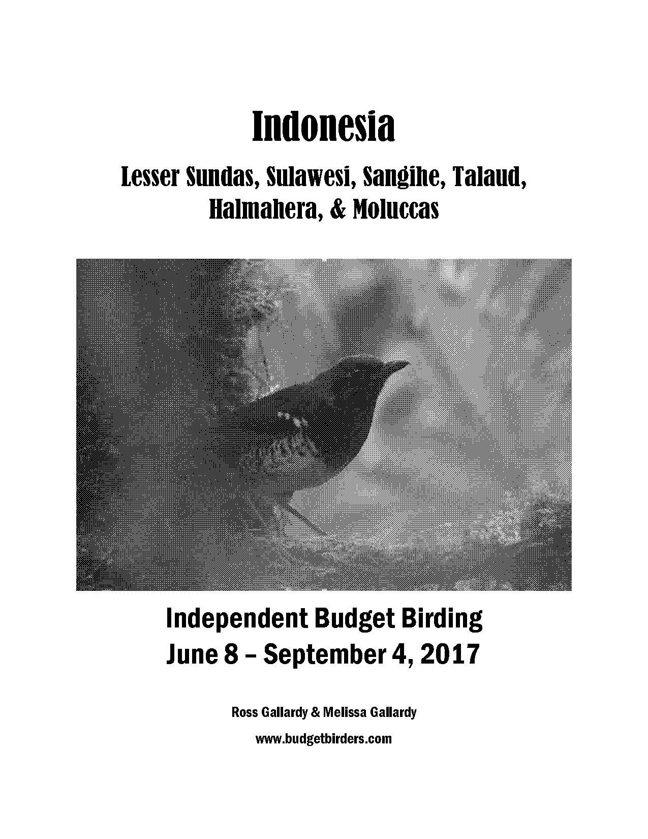 cheap plane tickets to indonesia