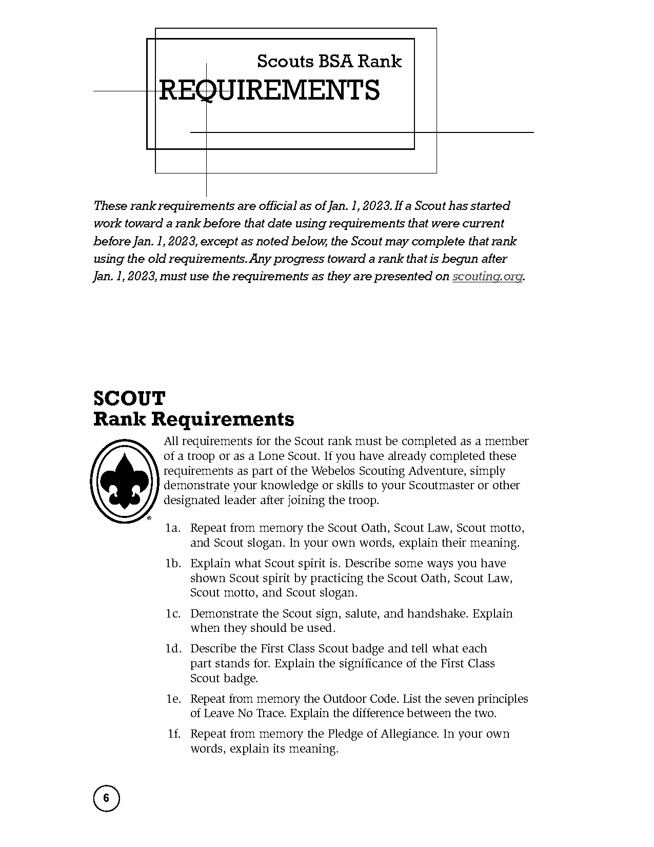 boy scout new requirements pdf